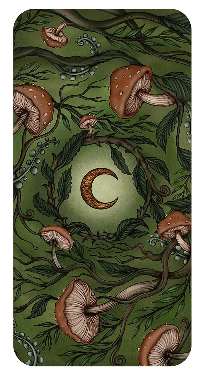 Forest Fae: Curious messages of enchantment