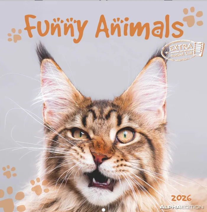 Funny Animals