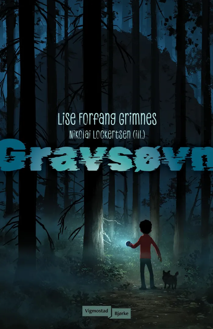 Gravsøvn