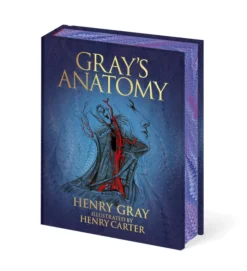 Gray's Anatomy