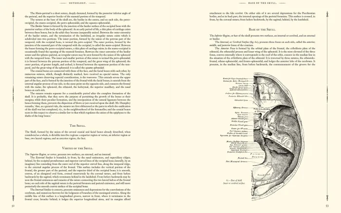 Gray's Anatomy