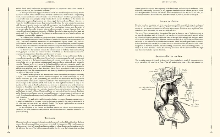Gray's Anatomy