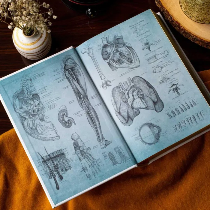 Gray's Anatomy (Deluxe Leatherbound Edition): Anatomy Descriptive and Surgical