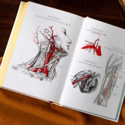 Gray's Anatomy (Deluxe Leatherbound Edition): Anatomy Descriptive and Surgical