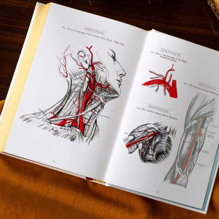 Gray's Anatomy (Deluxe Leatherbound Edition): Anatomy Descriptive and Surgical