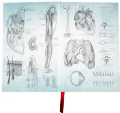 Gray's Anatomy (Deluxe Leatherbound Edition): Anatomy Descriptive and Surgical