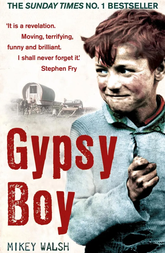 Gypsy Boy: The bestselling memoir of a Romany childhood
