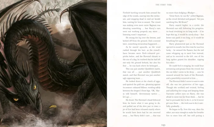 Harry Potter and the Goblet of Fire : Illustrated Edition