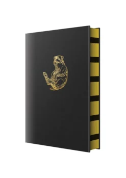 Harry Potter and the Philosopher's Stone – Hufflepuff Hogwarts House Edition