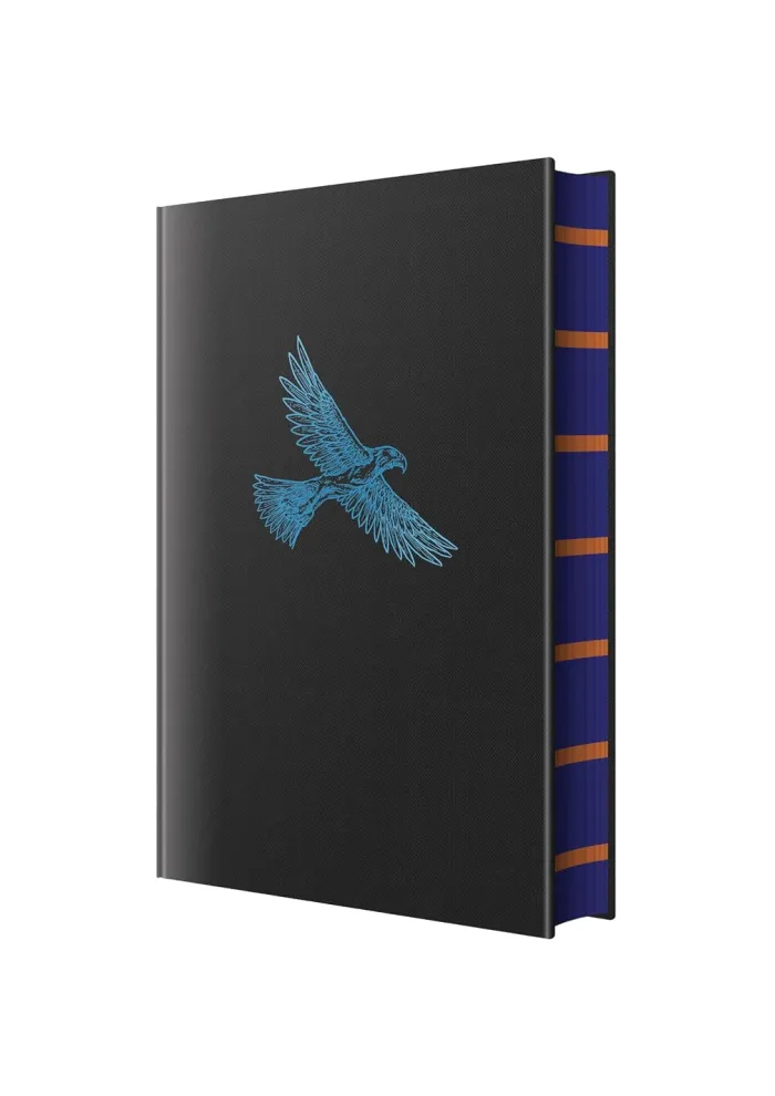 Harry Potter and the Philosopher's Stone – Ravenclaw Hogwarts House Edition