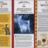 Harry Potter: Gryffindor Magic - Artifacts from the Wizarding World: Gryffindor Magic - Artifacts from the Wizarding World