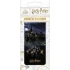 Harry Potter (Hogwarts Castle)
