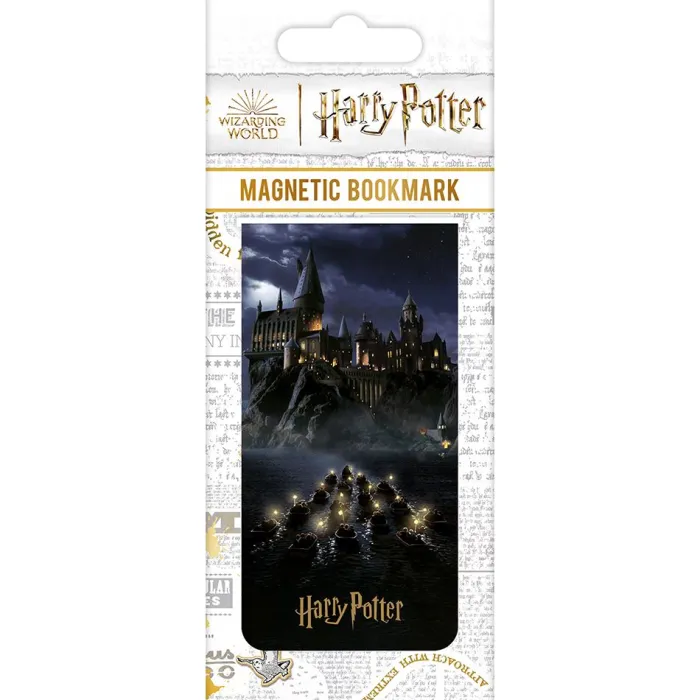 Harry Potter (Hogwarts Castle)