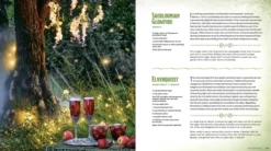 Heroes' Feast Flavors of the Multiverse: An Official D&D Cookbook