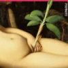 Hexes of the Deadwood Forest: 'Bold, surreal, feminist & ferociously funny' Service95