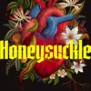 Honeysuckle