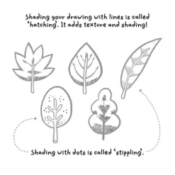 How to Draw Amazing Nature: by Erin Hunting