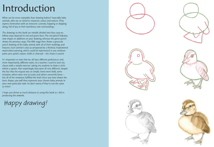 How to Draw: Baby Animals: In Simple Steps