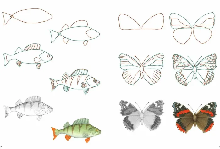 How to Draw: Nature: In Simple Steps