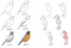 How to Draw: Nature: In Simple Steps