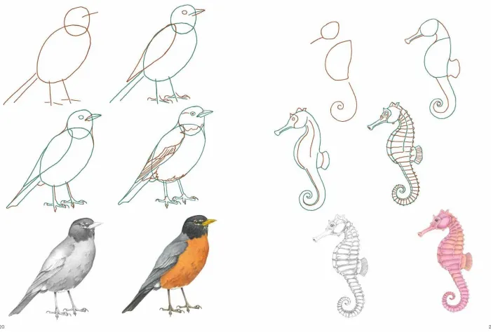 How to Draw: Nature: In Simple Steps