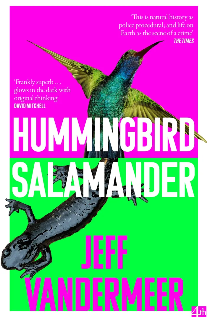 Hummingbird Salamander