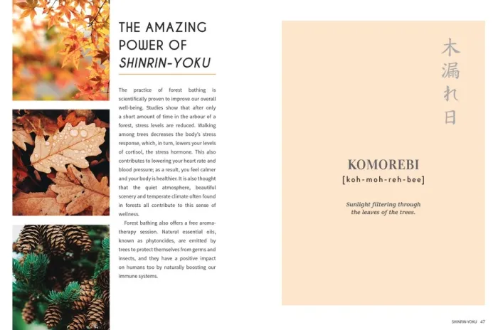 Japanese Living: Bring Mindfulness, Joy and Simplicity into Your Life