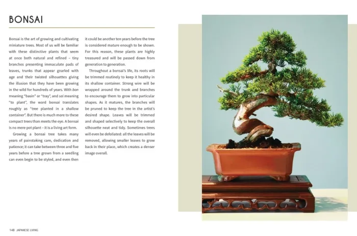 Japanese Living: Bring Mindfulness, Joy and Simplicity into Your Life