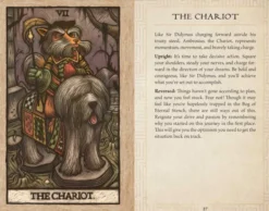 Labyrinth Tarot Deck and Guidebook