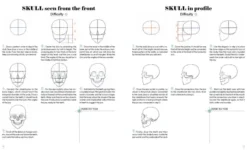 Learn To Draw Faces with 50 Models