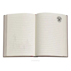 Legends of Hogwarts Journal