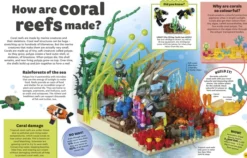 LEGO Amazing Earth: Fantastic Building Ideas and Facts About Our Planet