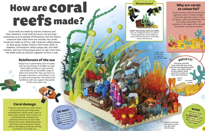 LEGO Amazing Earth: Fantastic Building Ideas and Facts About Our Planet