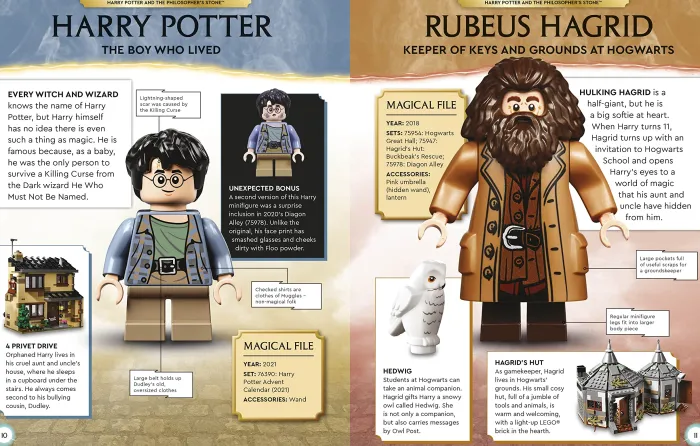 LEGO Harry Potter Character Encyclopedia New Edition: With Exclusive LEGO Harry Potter Minifigure