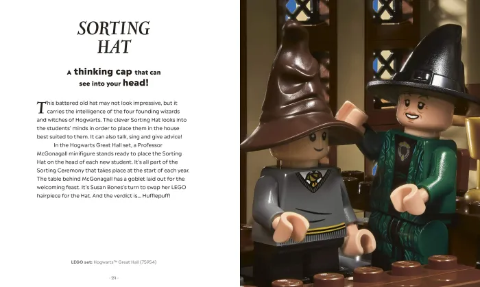 LEGO Harry Potter The Magical Guide to the Wizarding World