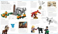 LEGO Harry Potter Visual Dictionary: With Exclusive Minifigure