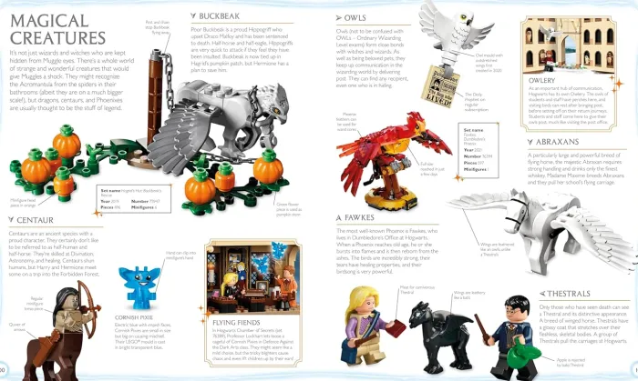 LEGO Harry Potter Visual Dictionary: With Exclusive Minifigure