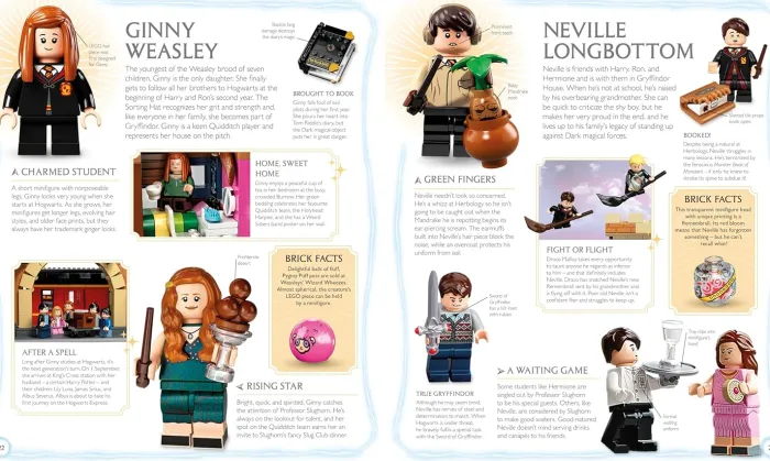 LEGO Harry Potter Visual Dictionary: With Exclusive Minifigure