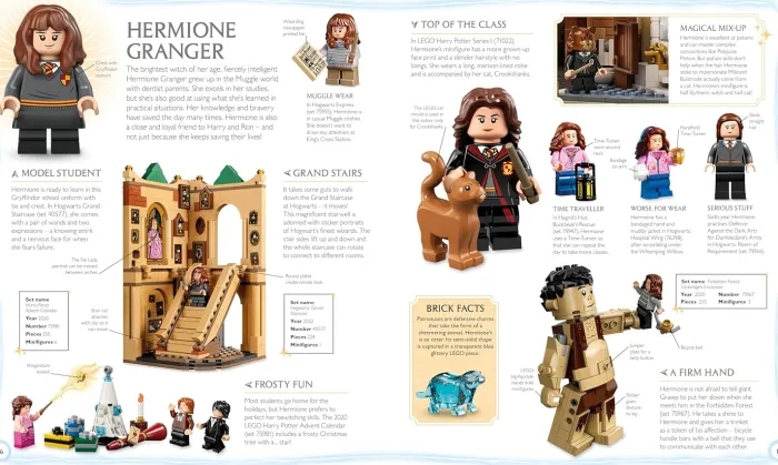 LEGO Harry Potter Visual Dictionary: With Exclusive Minifigure
