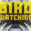 Lessons in Birdwatching
