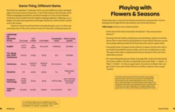 Mahjong: House Rules from Across the Asian Diaspora