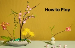 Mahjong: House Rules from Across the Asian Diaspora