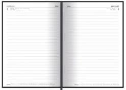 Mandalorian 2026 A5 Dtp Diary