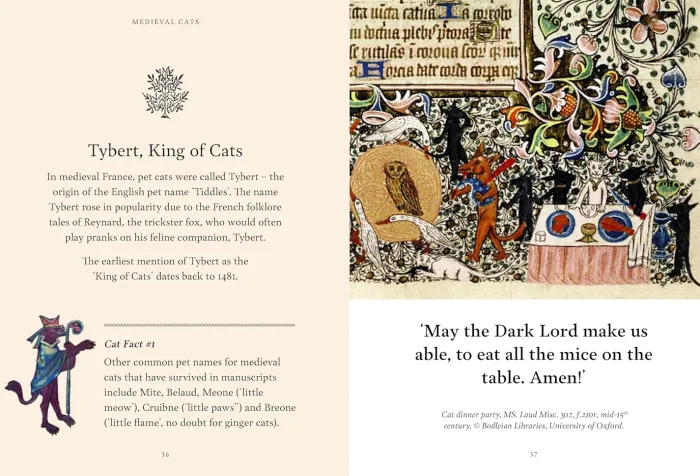 Medieval Cats: Claws, Paws and Kitties of Yore