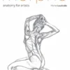 Morpho: Anatomy for Artists