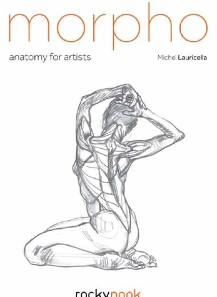 Morpho: Anatomy for Artists