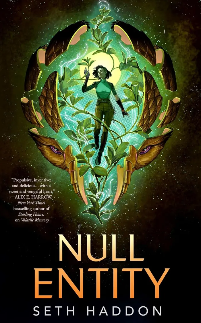 Null Entity