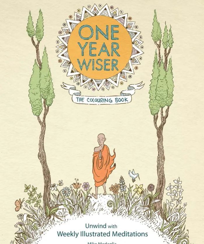 One Year Wiser: The Colouring Book: Unwind With Weekly Illustrated Meditations