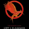 Opp i flammer