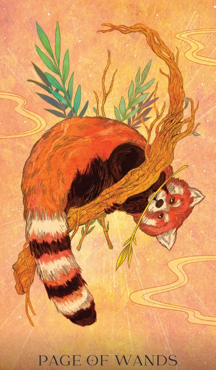 Oriens Animal Tarot Pocket Edition